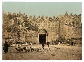 Jerusalem - Damaskustor